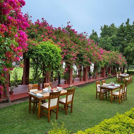 Naturoville Ayurvedic And Yoga Retreat Rishikesh Exterior photo