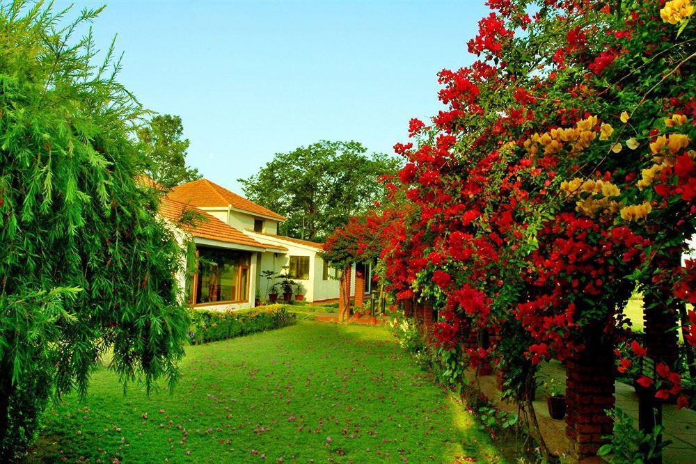 Naturoville Ayurvedic And Yoga Retreat Rishikesh Exterior photo