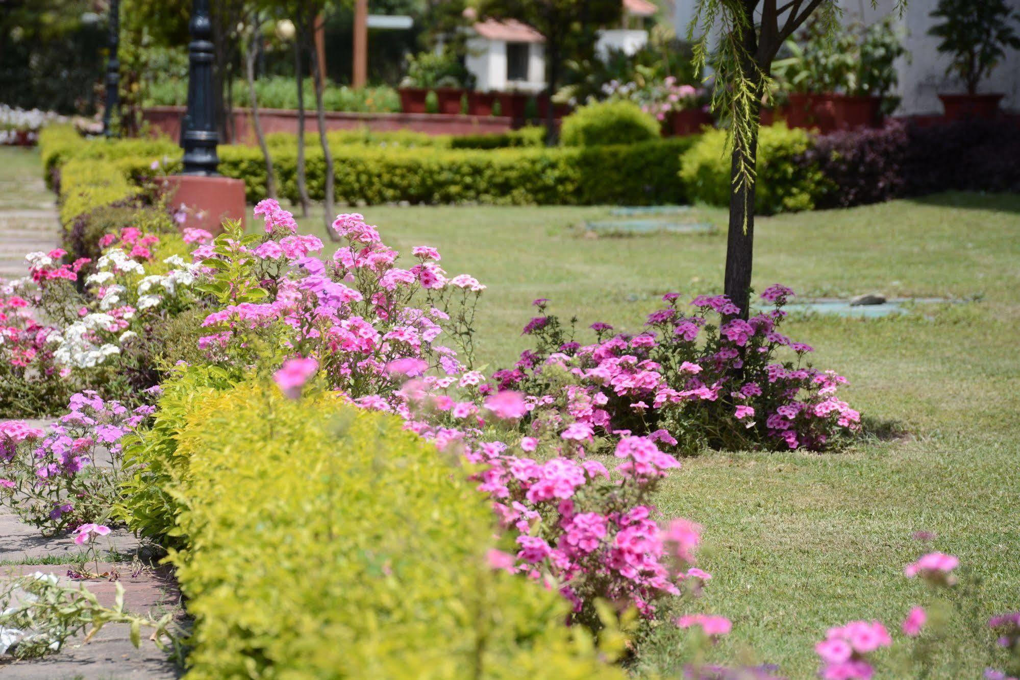 Naturoville Ayurvedic And Yoga Retreat Rishikesh Exterior photo