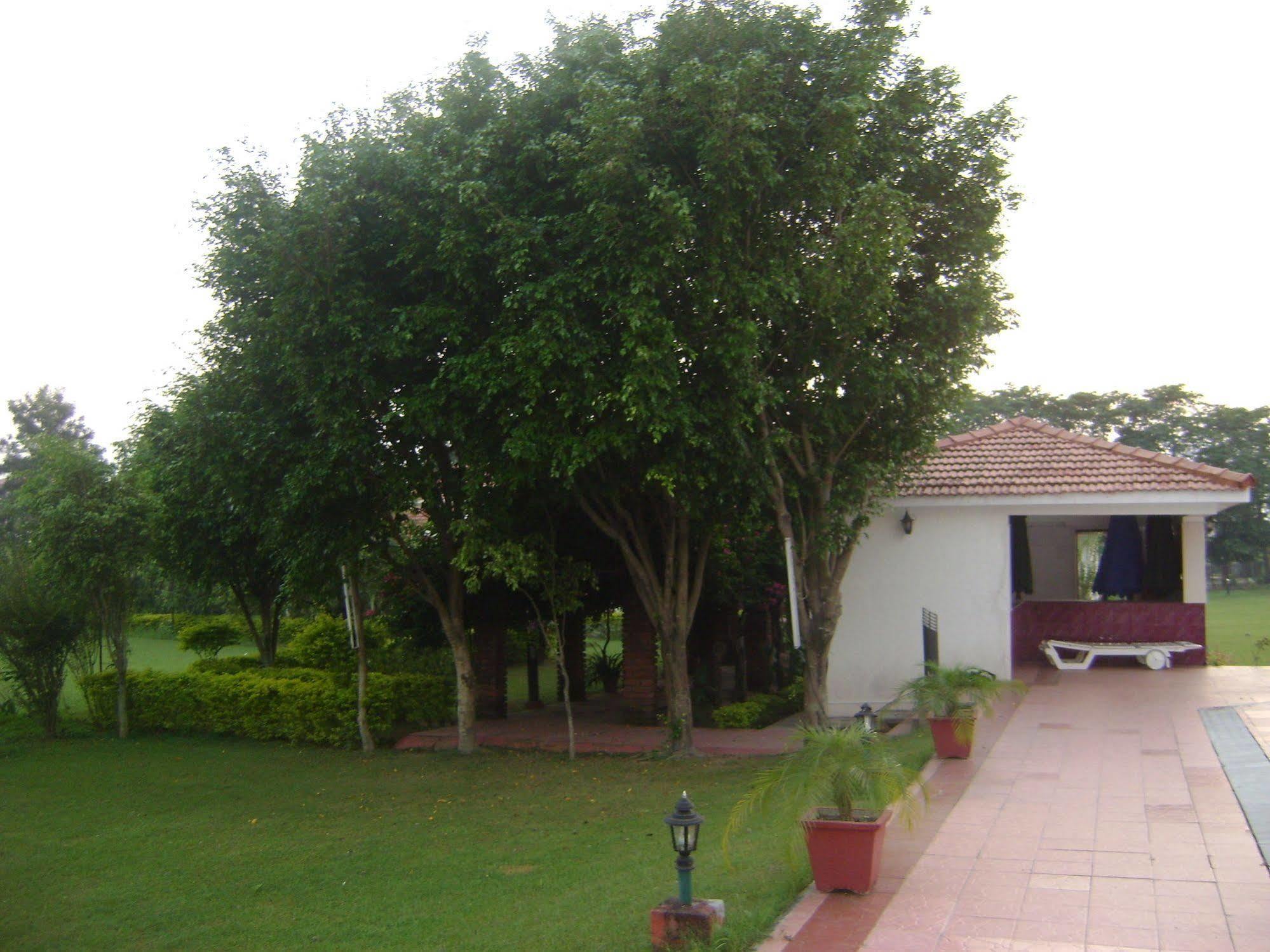 Naturoville Ayurvedic And Yoga Retreat Rishikesh Exterior photo