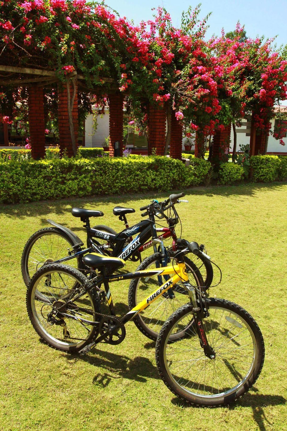 Naturoville Ayurvedic And Yoga Retreat Rishikesh Exterior photo