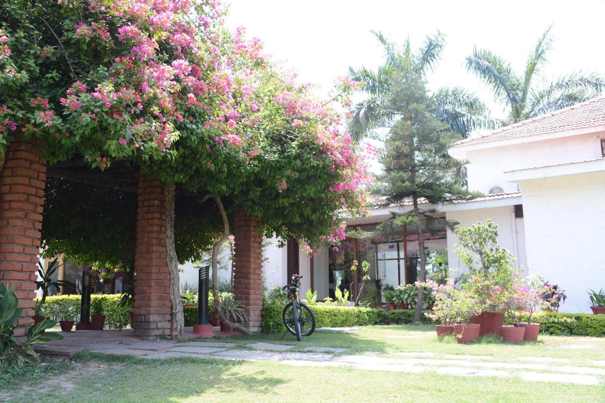 Naturoville Ayurvedic And Yoga Retreat Rishikesh Exterior photo